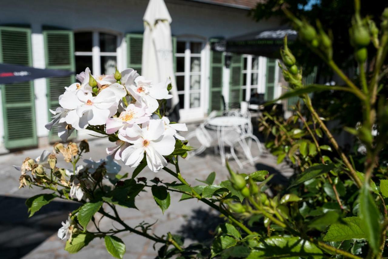 B&B El Tyu Écaussinnes-dʼEnghien Exteriér fotografie